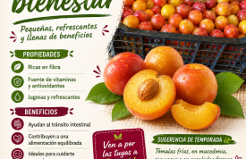 Ciruelas, sabor y bienestar
